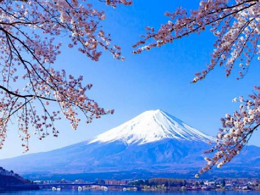 日本櫻花季赴日旅遊消費成長五成 台灣旅客數居亞洲第二