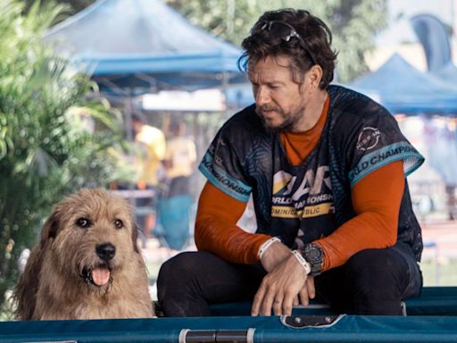 Stream It Or Skip It: ‘Arthur the King’ on Starz, a sports drama that stages an epic scruff-off between Mark Wahlberg and a very cute dog