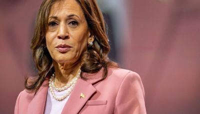 ‘Long live the American Dream’: Megadonor family throws weight behind Kamala Harris