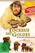 Lockruf des Goldes