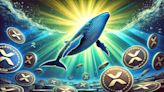 XRP Soars 36%: Key Role of Whale Activity Explained - EconoTimes