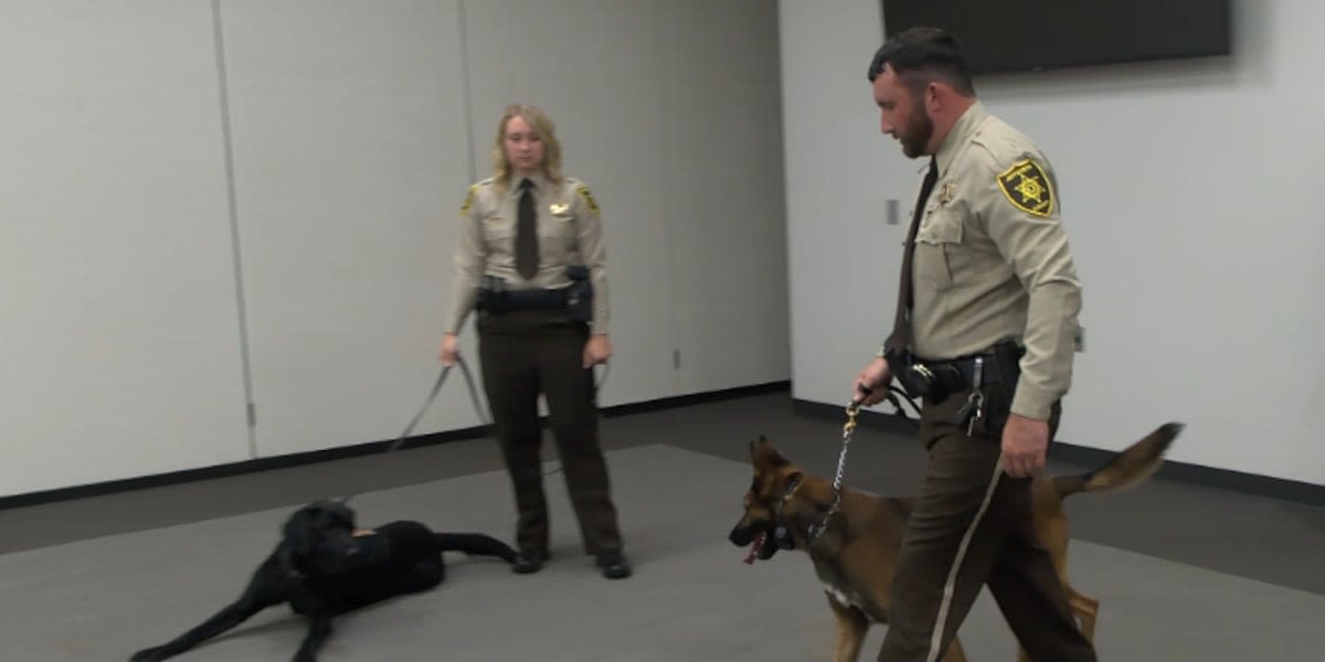 Jefferson County Sheriff’s Office K-9 Unit receives new certifications