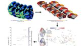 El Proyecto Cerebro Humano traza un mapa del cerebro que ayuda a estudiar los receptores