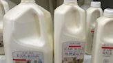 Bird flu outbreak in dairy cows fails to deter US raw milk sellers