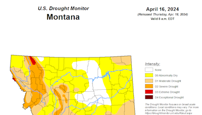 Below normal water supply forecasted for Montana after low-snow winter