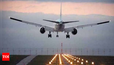 Vadodara airport receives bomb threat email | Vadodara News - Times of India