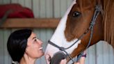 Central Pa Horse Rescue: A couple's labor of love saving horses from brink of slaughter