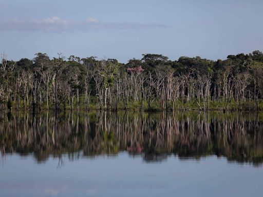 Veja como o Brasil quer usar o G20 para atrair financiamentos do exterior para projetos de economia verde