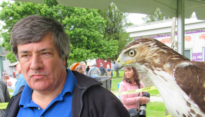 Birds of Prey Day at Green Chimneys - Mid Hudson News