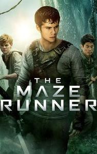 The Maze Runner