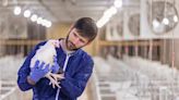 Georgia bird and poultry experts work to prevent spread of deadly avian flu