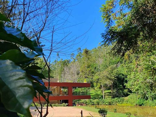 100 anos de agricultura biodinâmica: fazenda capixaba utiliza fases da lua na produção de cafés especiais