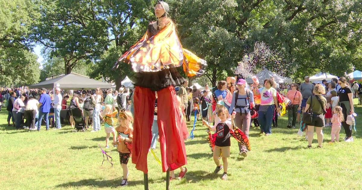 Monarch festival celebrates spectacular migration; but the iconic butterflies numbers are down