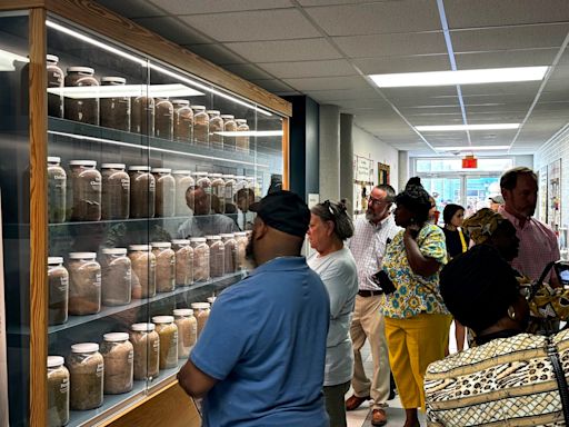 Exhibit unveiled in Gainesville focuses on history of racial violence in Alachua County