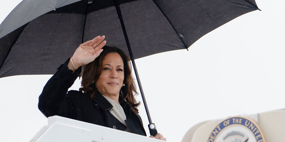 Elected Republicans Start To Back Off ‘DEI’ Attacks On Kamala Harris