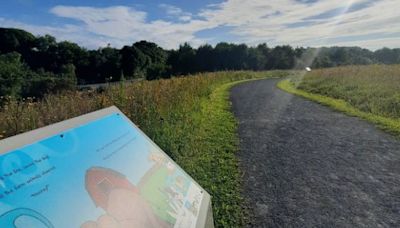 Free outdoor self-guided family reading experience launches in Kilkenny