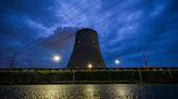 German greens accused of lying over nuclear power safety to force plant shutdowns