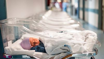 Francia relaciona la muerte de siete recién nacidos con una nueva variante de un virus habitualmente leve