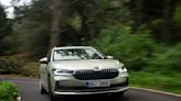 Skoda's cavernous Superb estate ticks all the boxes