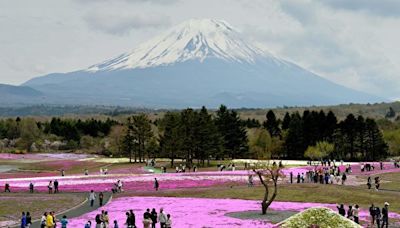 不堪其擾 富士山自拍景點無奈設屏障拒遊客