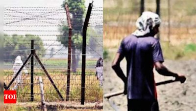 Two years no relief post vote: Border-area Punjab farmers | Chandigarh News - Times of India