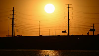 Texas heat wave that could kill pets 'in minutes' sparks warning for owners