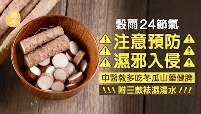 穀雨24節氣 | 中醫教多吃冬瓜山藥健脾防濕邪入侵 附袪濕湯水食譜