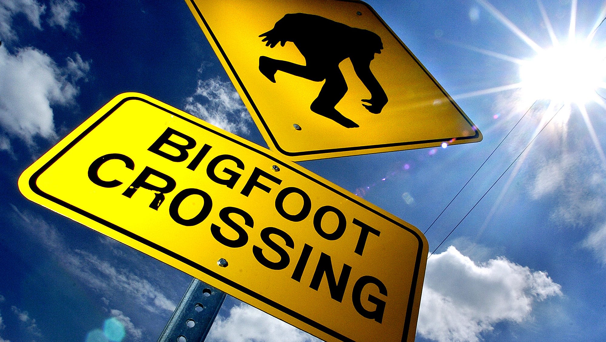 People says they've seen Bigfoot at Guernsey County's Salt Fork Lake. Will you be next?