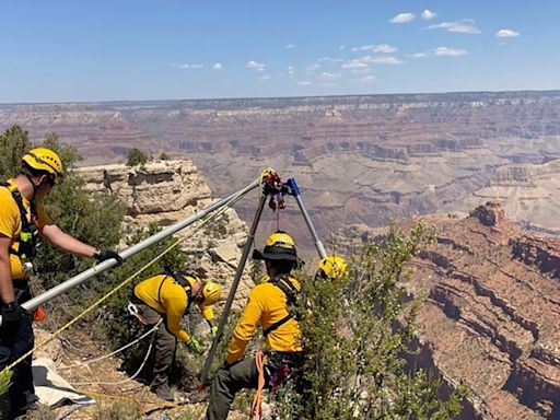 A 20-year-old college student from North Carolina died after falling from a Grand Canyon rim