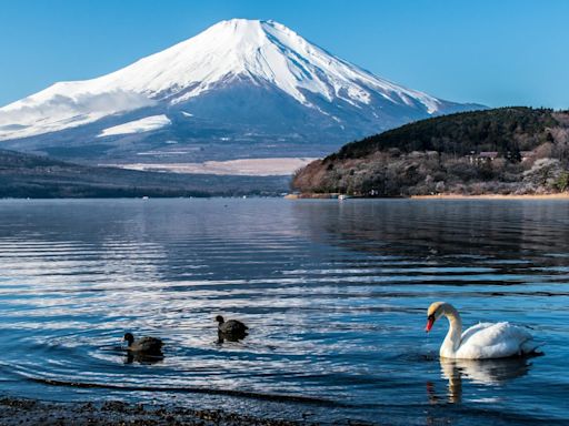 十大富士山觀賞點 NO.1絕美打卡點暫別觀光客