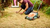 7 Common Lawn Problems That Are a Real Pain in the Grass