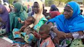 Nigeria shaken by deadly suicide attacks; pregnant women among 18 dead, 42 injured | Today News