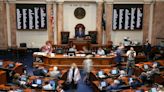 Amendment 1: Legislators want more power, bigger paychecks and pensions | Opinion