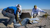 ‘The impossible became possible’: 4 billion miles later, NASA successfully lands asteroid sample capsule in Utah