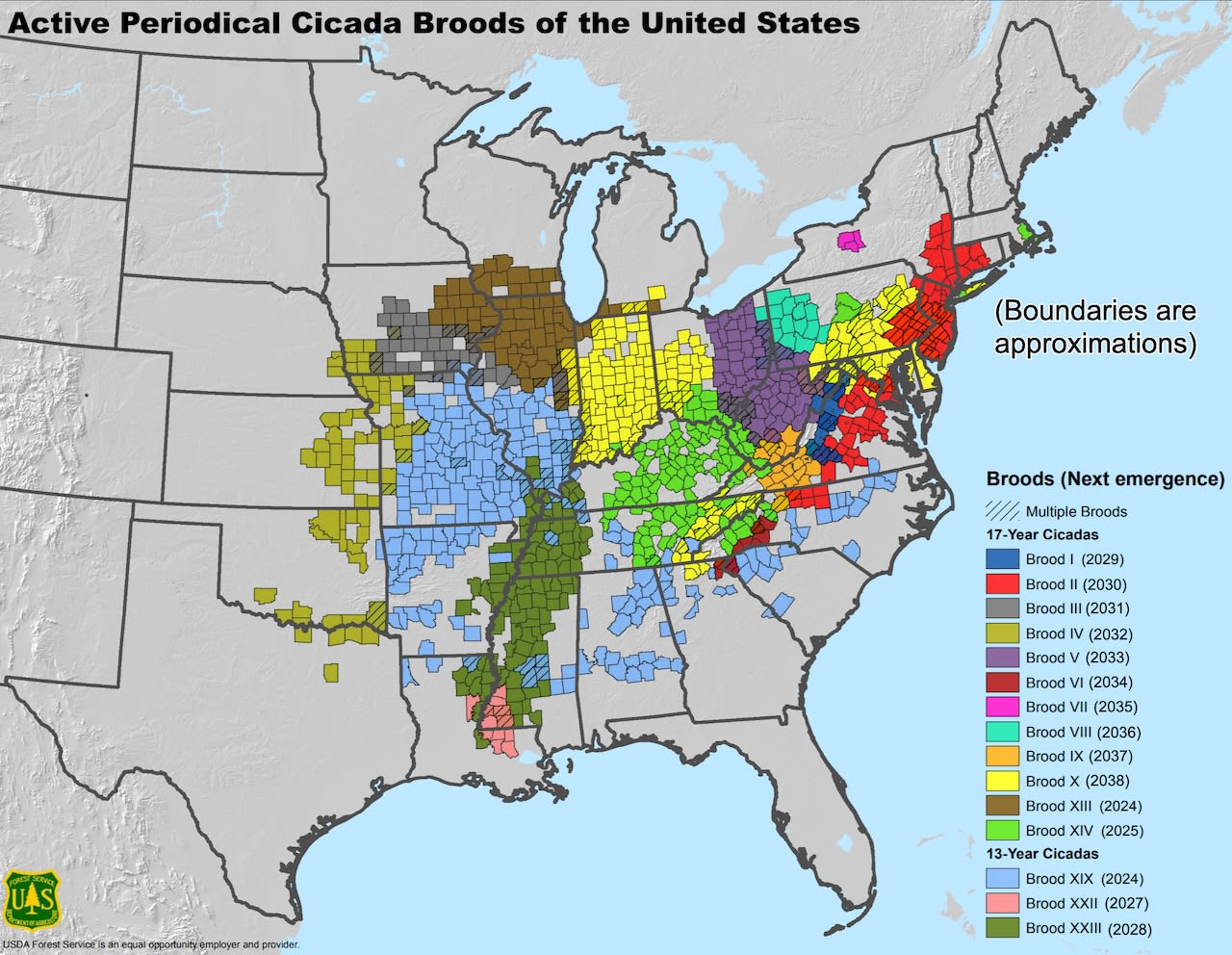 The cicadas are coming: These 5 maps break down what you need to know