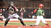 New York State baseball playoff schedule and results