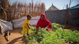 UNICEF USA BrandVoice: UNICEF Helps Mothers Start Vegetable Gardens In Sudan