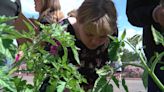 Pilot program brings the farm to school to teach students about nutrition, gardening