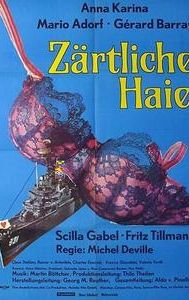 Zärtliche Haie