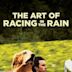 The Art of Racing in the Rain (film)