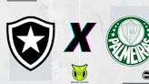 Botafogo x Palmeiras: retrospecto, prováveis escalações, arbitragem, onde assistir e palpites