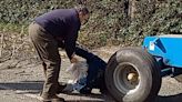 Shocking moment airport owner, 65, drags councillor by hair in tree felling row