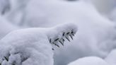 Heavy snowfall to hit parts of Nova Scotia beginning Monday night