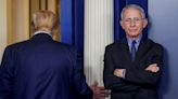 'In the clear': Dr. Anthony Fauci weighs in on Trump injury after shooting