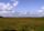 Everglades