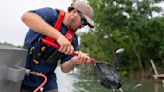 Texas Parks and Wildlife stocks fish, works to rebuild habitat in Lake Dunlap near New Braunfels