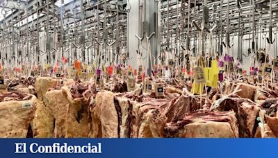 El imperio de la carne gallega más selecta que se come en Madrid tiene su secreto en una nave de Vallecas