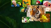 Attenborough’s Life in Colour Season 1 Streaming: Watch & Stream Online via Netflix