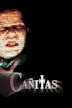 Cañitas