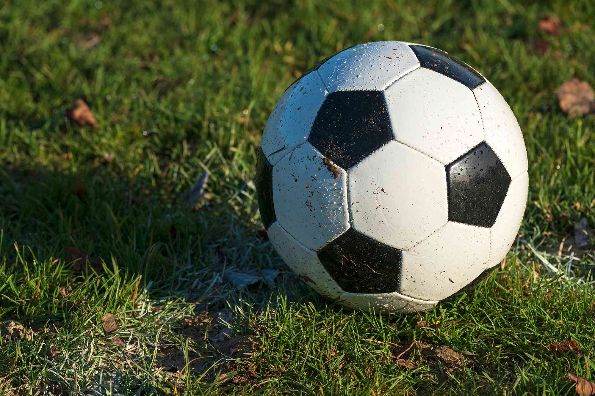 11-Year-Old Boy Shot in the Head After Climbing Fence to Retrieve Football